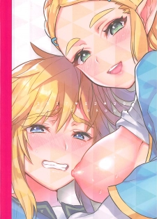 (C93) [Morittokoke (Morikoke)] Hyrule Hanei no Tame no Katsudou! | Activities for the Sake of Hyrule’s Future! (The Legend of Zelda) [English] {darknight} - page 26