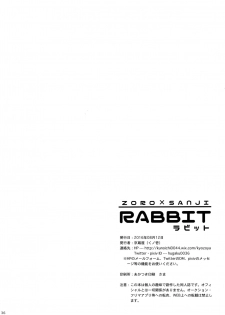 (C90) [Kyozoya (Kunoichi)] RABBIT (One Piece) - page 37