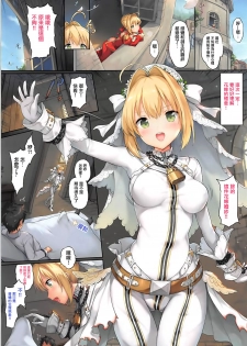 (C93) [Tuzi Laoda (Sayika)] Nero to Kimochi Ii Koto Shiyou (Fate/Grand Order) [Chinese] [有毒気漢化組] - page 15