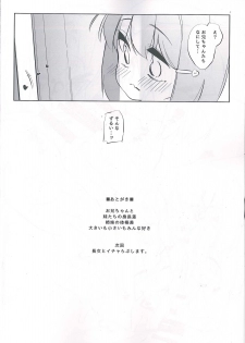 (C93) [P.D Crown (Pedocchi)] Imouto ni Hasamarete Shiawasedesho - page 23