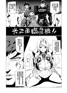 (C93) [UU-ZONE (nuezou)] Homurizebure (Xenoblade Chronicles 2) [Chinese] [无毒汉化组] - page 11
