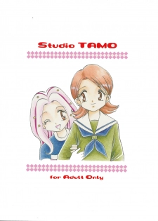 (C58) [Studio TAMO (Daikyojin)] Sora Mimi Hour (Digimon Adventure) - page 22