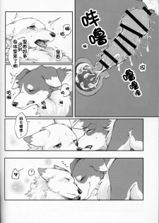 (Kansai! Kemoket 5) [D-Point! (Diga Tsukune)] Yume Utsutsu Lovage | 梦&醒 Ravage [Chinese] [虾皮汉化组] - page 29