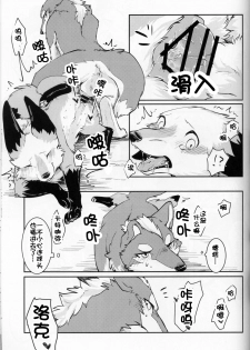 (Kansai! Kemoket 5) [D-Point! (Diga Tsukune)] Yume Utsutsu Lovage | 梦&醒 Ravage [Chinese] [虾皮汉化组] - page 24