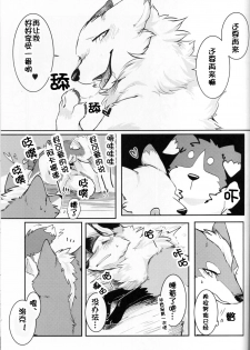 (Kansai! Kemoket 5) [D-Point! (Diga Tsukune)] Yume Utsutsu Lovage | 梦&醒 Ravage [Chinese] [虾皮汉化组] - page 26