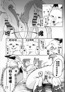 (Kansai! Kemoket 5) [D-Point! (Diga Tsukune)] Yume Utsutsu Lovage | 梦&醒 Ravage [Chinese] [虾皮汉化组] - page 12