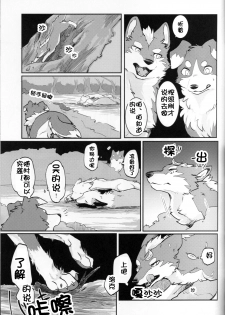 (Kansai! Kemoket 5) [D-Point! (Diga Tsukune)] Yume Utsutsu Lovage | 梦&醒 Ravage [Chinese] [虾皮汉化组] - page 10