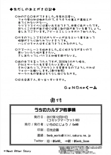 (C93) [Ichino Nijou (GeNB)] Uchi no Chaldea Seijijou (Fate/Grand Order) - page 25