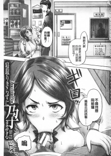[Akigami Satoru] HARAMASEX!! | 受孕的性愛!! ~墮落的寢取偷吃牝豚們~ [Chinese] - page 2