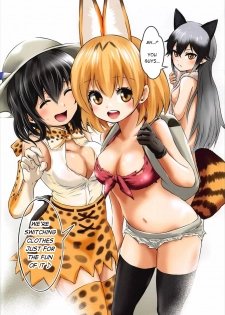 (C92) [Dam Koubou (Kuroadam)] Moshi, Kaban-chan Ga Kyonyuu Dattara | What if, Kaban-chan Had a Huge Rack (Kemono Friends) [English] {atomicpuppy} - page 13