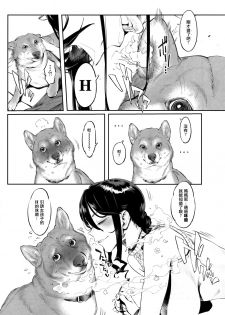 (C93) [zero-sen (xxzero)] Inu no Kimochi Ii vol. 2 [Chinese] [沒有漢化] - page 6