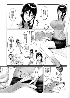 (C93) [zero-sen (xxzero)] Inu no Kimochi Ii vol. 2 [Chinese] [沒有漢化] - page 5