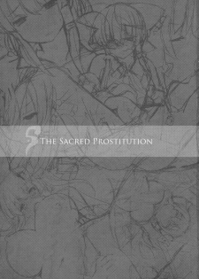 (C91) [Armament Calcium (Take Calcium)] Shinzen Shoufu (Touhou Project) [Chinese] [朔夜汉化] - page 3