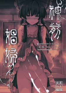 (C91) [Armament Calcium (Take Calcium)] Shinzen Shoufu (Touhou Project) [Chinese] [朔夜汉化] - page 2