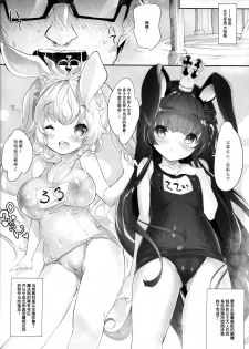 (C93) [Misty Isle (Sorimura Youji)] Usamimi Princess to Isekai Kozukuri Life!! 3 [Chinese] [那个魔犬不喜欢大柰子所以这个大柰子就是本喵的了汉化组] - page 11