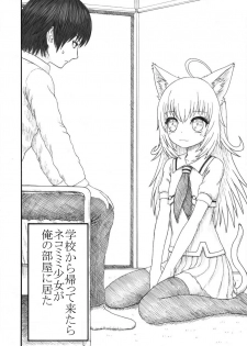 [みつぷりん] 化け猫の恩の返し方 - page 3