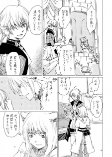 [ASM-P (みっき)] オル光まとめました (Final Fantasy 14) [Digital] - page 30