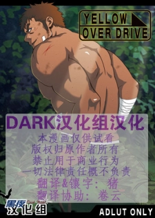 [RYCANTHROPY (Mizuki Gai)] YELLOW OVER DRIVE [Chinese] [黑夜汉化组]