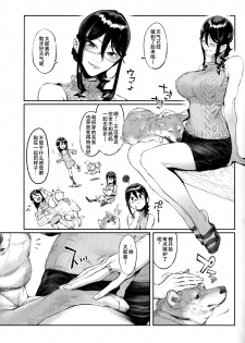 (C93) [zero-sen (xxzero)] Inu no Kimochi Ii vol. 2 [Chinese] [夏月兔个人汉化] - page 5