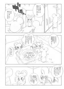 (C74) [Furaipan Daimaou (Chouchin Ankou)] Battle for the Planet of the Hams -Episode 2- (Hamtaro) - page 7