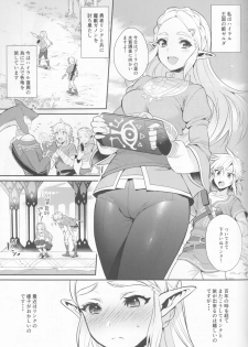 (C93) [Morittokoke (Morikoke)] Hyrule Hanei no Tame no Katsudou! (The Legend of Zelda) - page 4