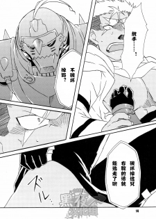 (C82) [Huujin (Shoshinsha Man)] Scar o Hazukashime Taosu Hon (Fullmetal Alchemist) [Chinese] [黑夜汉化组] - page 14