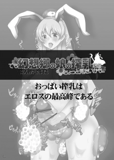 [Nijusei, Ohnegs (Various)] Touhou Sakunyuu Goudoushi Demo Gensoukyou no Musume no Sakunyuu nara Chotto Mitai kamo... (Touhou Project) [Digital] - page 10