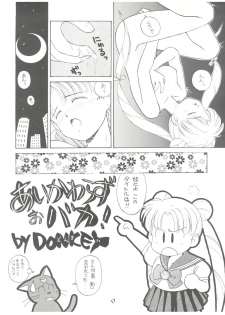 (C42) [Studio TAMO (Various)] Rururun (Bishoujo Senshi Sailor Moon) - page 17