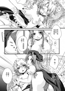 (C79) [Zipper Wrist (Eguchi)] Futanari Koumakan | 扶她紅魔館 (Touhou Project) [Chinese] [赤銀漢化組] - page 19