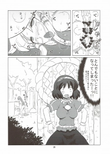 (C80) [Hanyan. (Nekomimi Kanon, Hida)] Toufuu Kabejiriroku (Touhou Project) - page 27