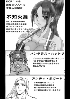 (C93) [Anglachel (Yamamura Natsuru)] Hatsujou Hime (The King of Fighters) - page 4