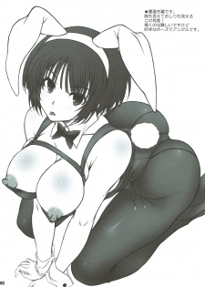 (C93) [BRIEST (Yatsushima Tetsuya)] T2R/13 (Various) - page 4