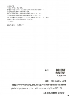(C93) [BRIEST (Yatsushima Tetsuya)] T2R/13 (Various) - page 13