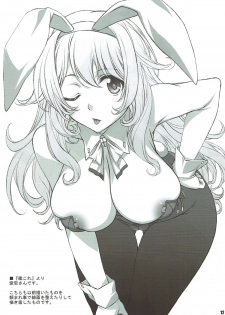 (C93) [BRIEST (Yatsushima Tetsuya)] T2R/13 (Various) - page 11