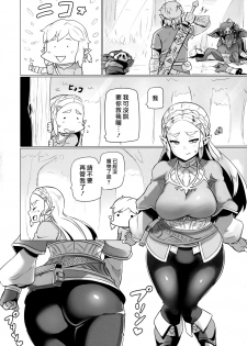 (C93) [UU-ZONE (nuezou)] Ee Ketsu. | Dat Ass. (The Legend of Zelda: Breath of the Wild) [Chinese] [最愛大屁屁x漢化組漢化組] - page 4