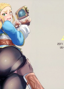 (C93) [UU-ZONE (nuezou)] Ee Ketsu. | Dat Ass. (The Legend of Zelda: Breath of the Wild) [Chinese] [最愛大屁屁x漢化組漢化組] - page 2