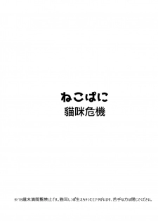 (Oshinobi Date) [Ring Memo (Oretto)] NekoPani (Naruto) [Chinese] [沒有漢化] - page 3
