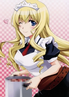 (C82) [Chagashi Saiban (Yamabuki Mook)] Lesson! (IS <Infinite Stratos>) - page 24