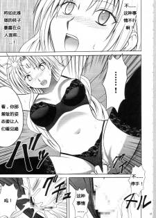 [Crimson Comics (Carmine)] Sephiria Hard Soushuuhen (Black Cat) [Chinese] [xyx1126个人汉化] - page 24