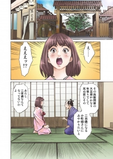 [Hazuki Kaoru] Oedo de Ecchi Shimasu! 4 [Digital] - page 24
