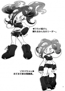 [Super Shizu Panda (SIZMA)] Michi to no Souguu (Splatoon) [Digital] - page 2