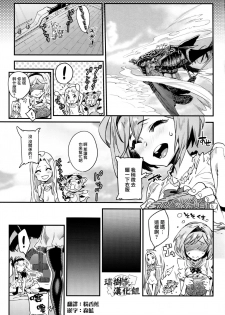 (C93) [UNDER CONTROL (Zunta)] Fallen Maiden (Granblue Fantasy) [Chinese] [瑞树汉化组] - page 19