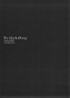 (C80) [D.N.A.Lab. (Miyasu Risa)] The Black Sheep (Puella Magi Madoka Magica) - page 24