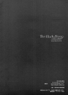 (C80) [D.N.A.Lab. (Miyasu Risa)] The Black Sheep (Puella Magi Madoka Magica) - page 27