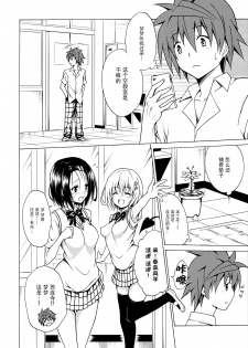 (C91) [TORA MACHINE (Kasukabe Taro)] Mezase! Rakuen Keikaku Vol. 2 (To LOVE-Ru) [Chinese] [脸肿汉化组] - page 14