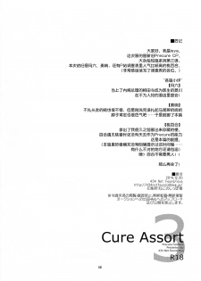 (C87) [434 Not Found (isya)] Cure Assort 3 (Dokidoki! PreCure, Suite PreCure, HeartCatch PreCure!) [Chinese] [大友同好会] - page 50