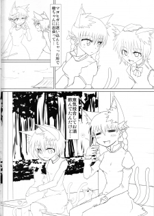 (C84) [Psychetangle (Keta)] Neko x Neko. (Touhou Project) - page 4