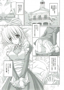 (C82) [r.i.s factory (Ruschuto)] r.i.s archive 1 (Hayate no Gotoku!) - page 25