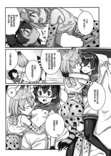 (C92) [Tendoushi (Fukuroumori)] Daisuki ni Kimatteru!! (Kemono Friends) [Chinese] [沒有漢化] - page 7