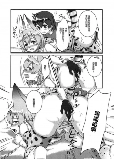 (C92) [Tendoushi (Fukuroumori)] Daisuki ni Kimatteru!! (Kemono Friends) [Chinese] [沒有漢化] - page 14